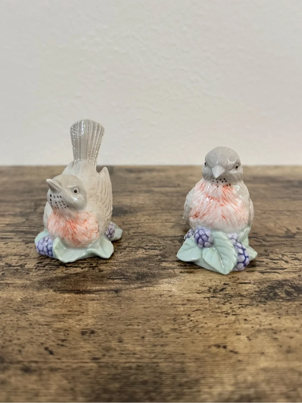 Vintage Bird Salt & Pepper Shakers | Porcelain Floral Berry